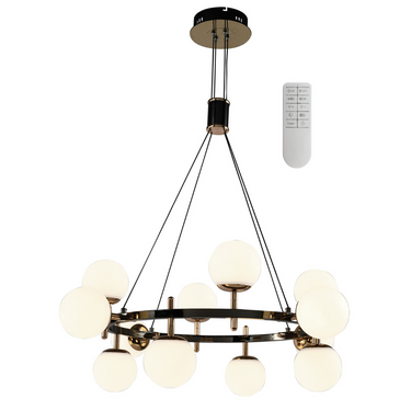 Metal and Plastic Chandelier with 2.4G Drive Remote Control
